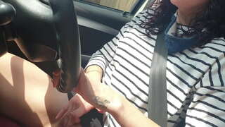 Njupuk mobil umum drive nalika muter karo cilik pus