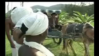 Kiel Negras da senzala